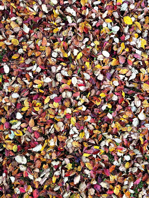 howeversnowy instagram image archive image