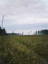 howeversnowy Altpins Profile Picture