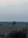 howeversnowy Altpins Profile Picture
