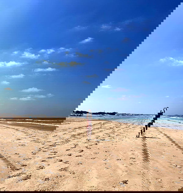 iambohema.v2 iambohema.v2 archive image