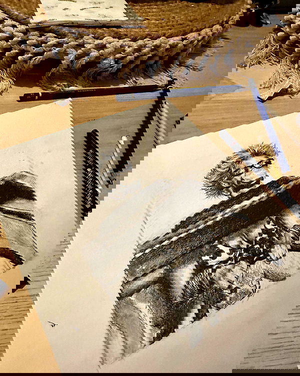 iambohema.v2 iambohema.v2 archive image