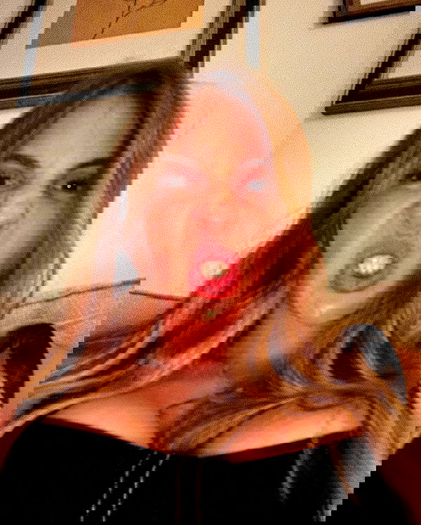 iambohema.v2 iambohema.v2 archive image