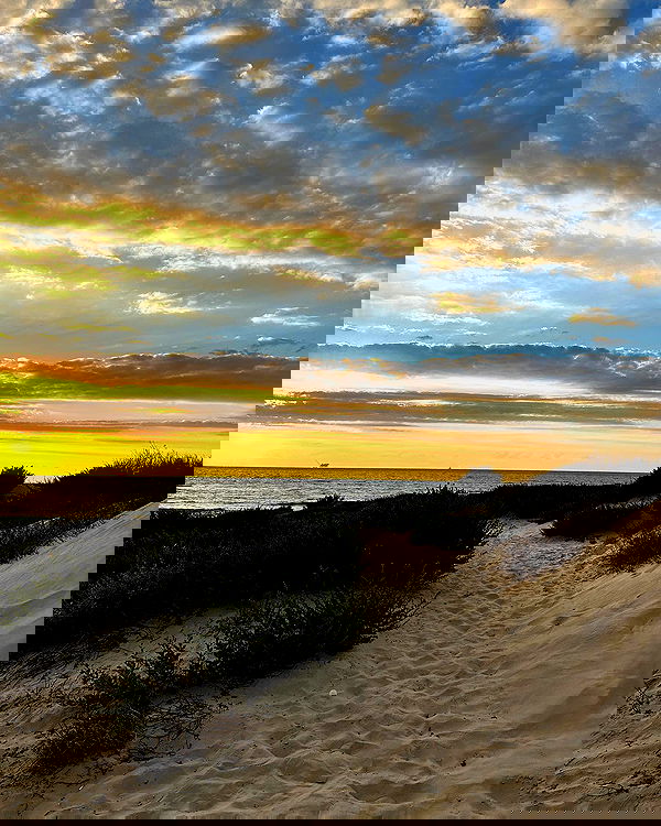 iambohema.v2 iambohema.v2 archive image