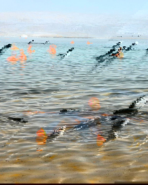 iambohema.v2 iambohema.v2 archive image