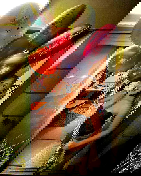 iambohema.v2 iambohema.v2 archive image