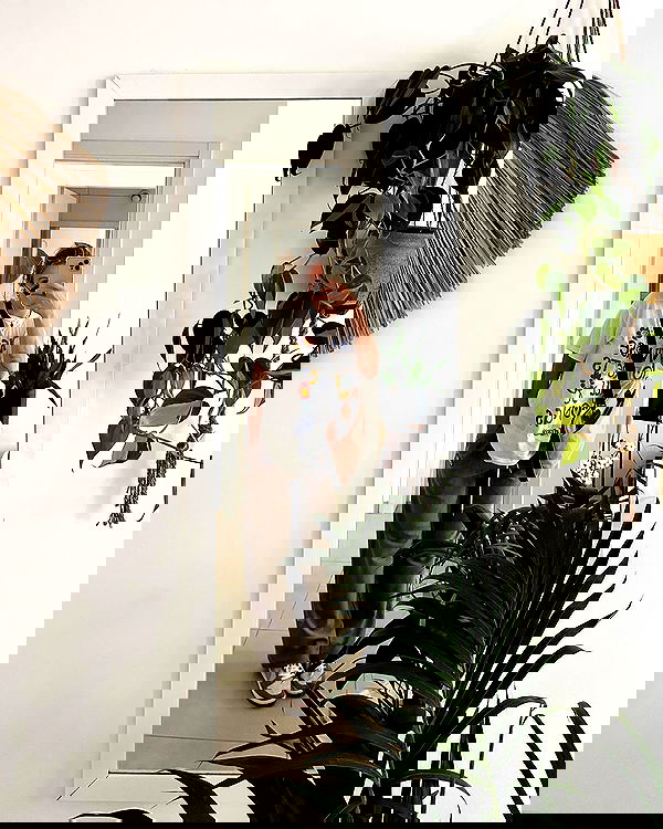 iambohema.v2 iambohema.v2 archive image