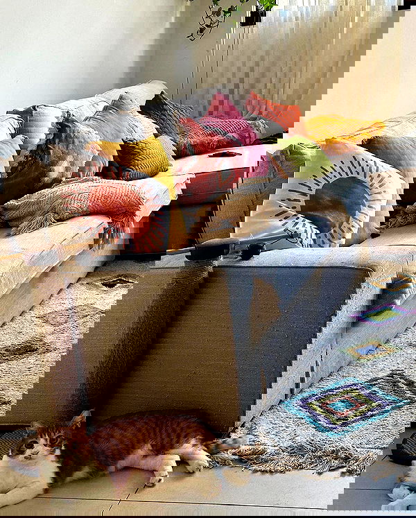 iambohema.v2 iambohema.v2 archive image