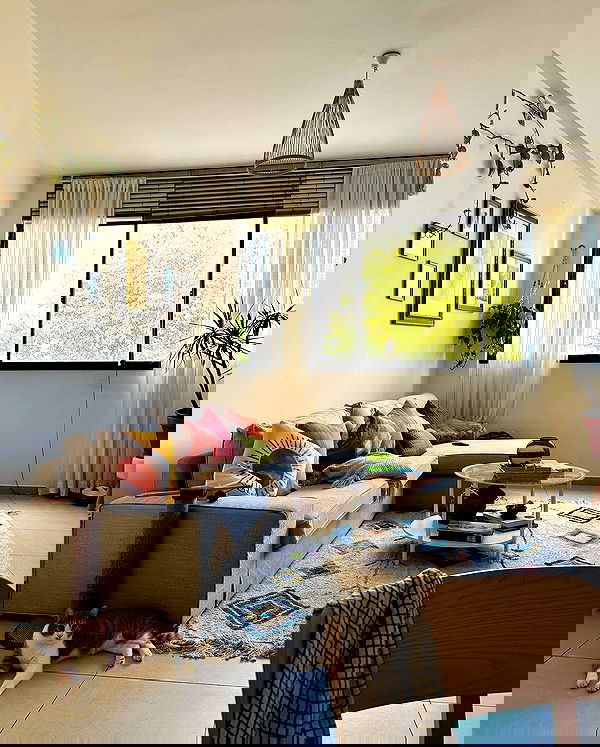 iambohema.v2 iambohema.v2 archive image