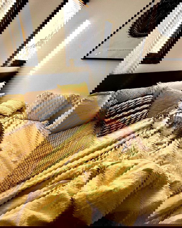 iambohema.v2 iambohema.v2 archive image