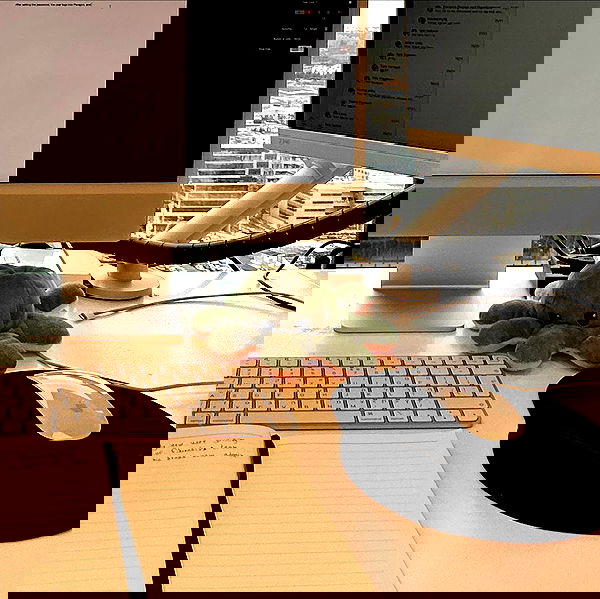 iambohema.v2 iambohema.v2 archive image