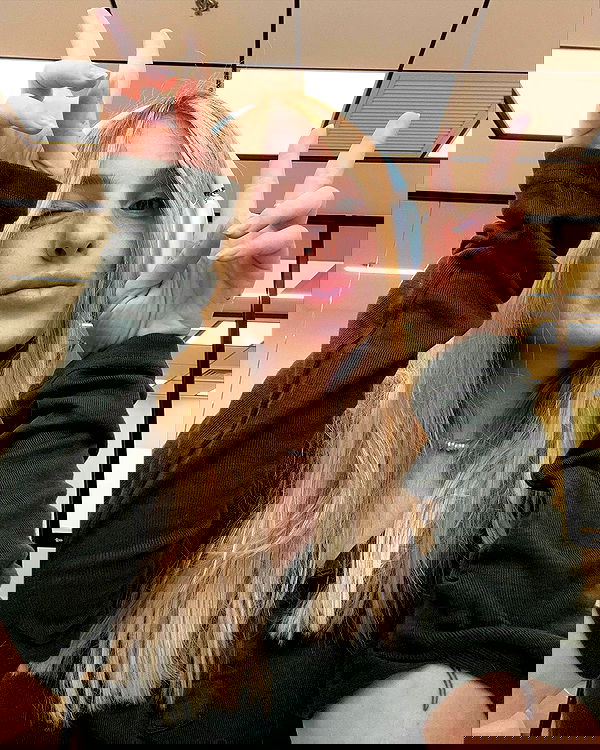 iambohema.v2 iambohema.v2 archive image