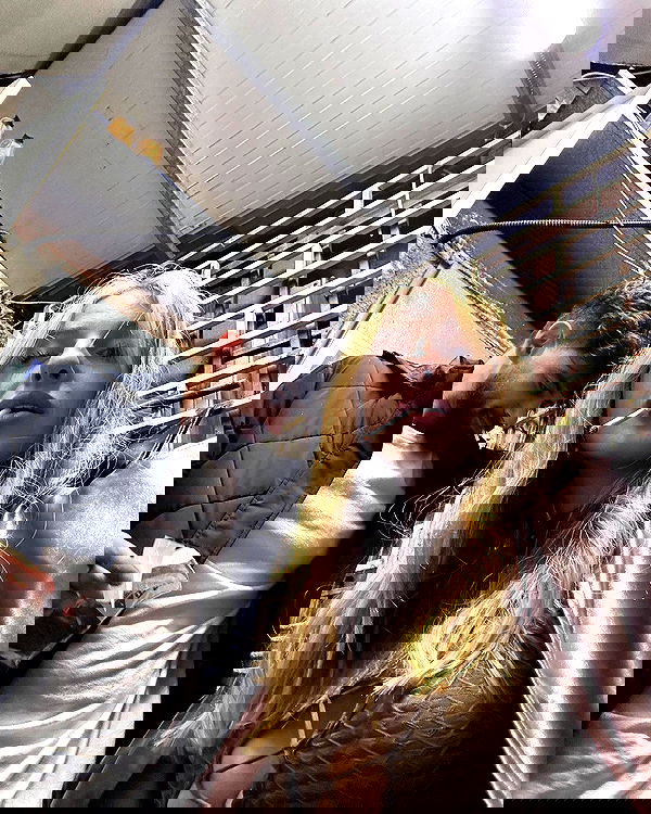 iambohema.v2 iambohema.v2 archive image