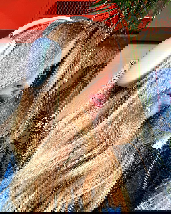 iambohema.v2 iambohema.v2 archive image