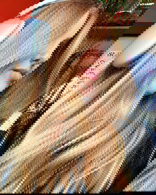 iambohema.v2 iambohema.v2 archive image