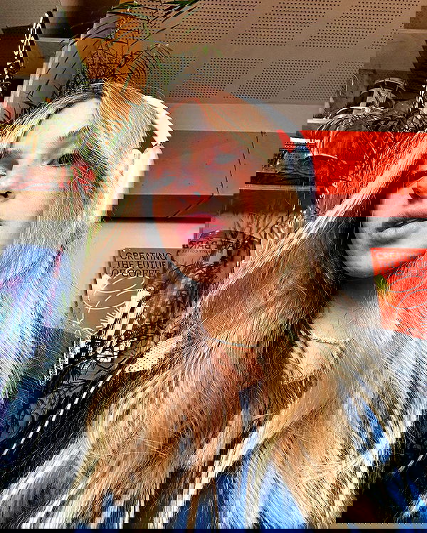 iambohema.v2 iambohema.v2 archive image