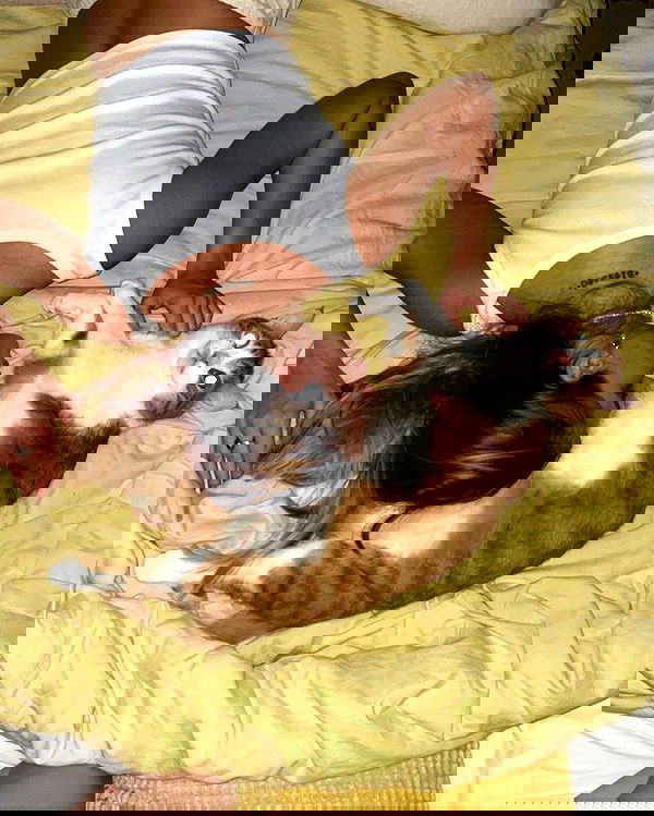 iambohema.v2 iambohema.v2 archive image