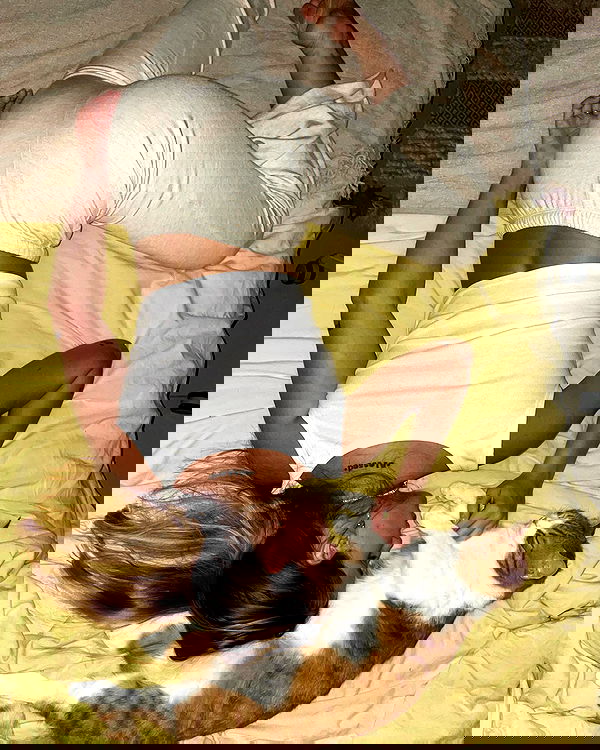 iambohema.v2 iambohema.v2 archive image