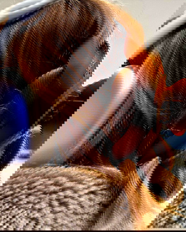 iambohema.v2 iambohema.v2 archive image