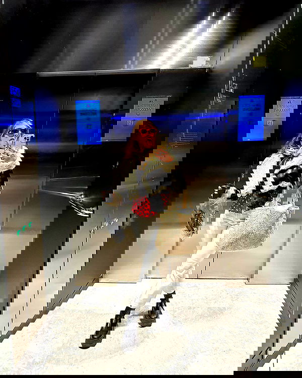 iambohema.v2 iambohema.v2 archive image