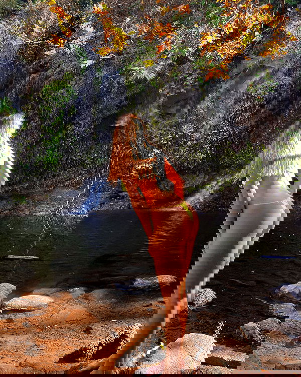 iambohema.v2 iambohema.v2 archive image