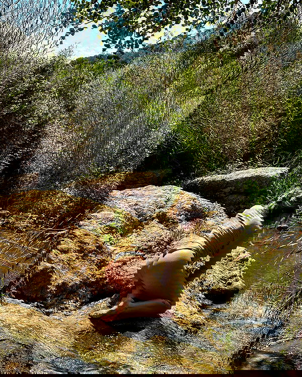 iambohema.v2 iambohema.v2 archive image