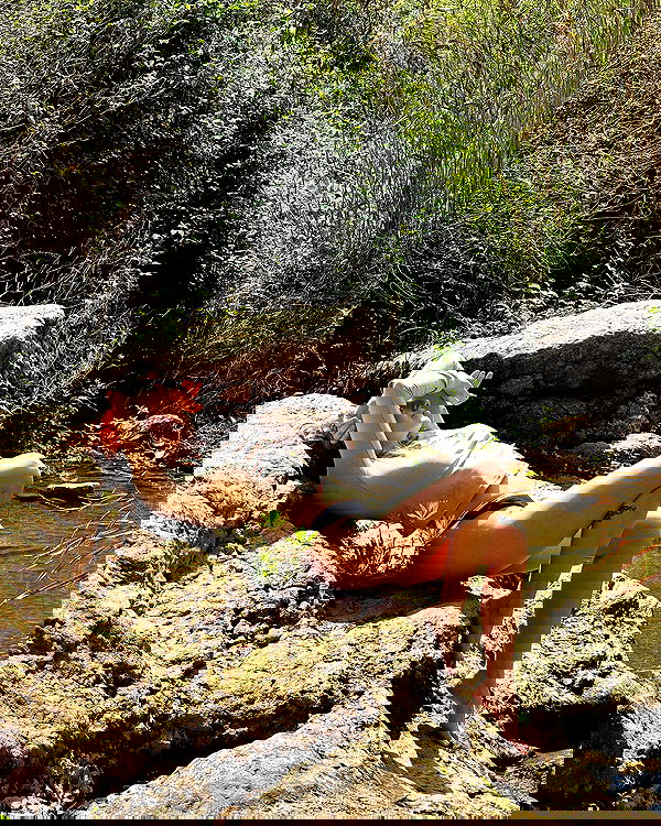 iambohema.v2 iambohema.v2 archive image