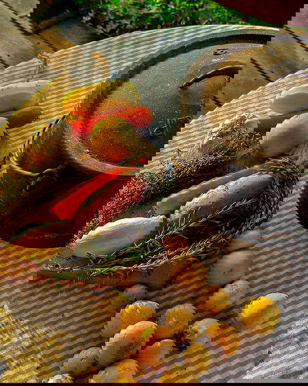 iambohema.v2 iambohema.v2 archive image