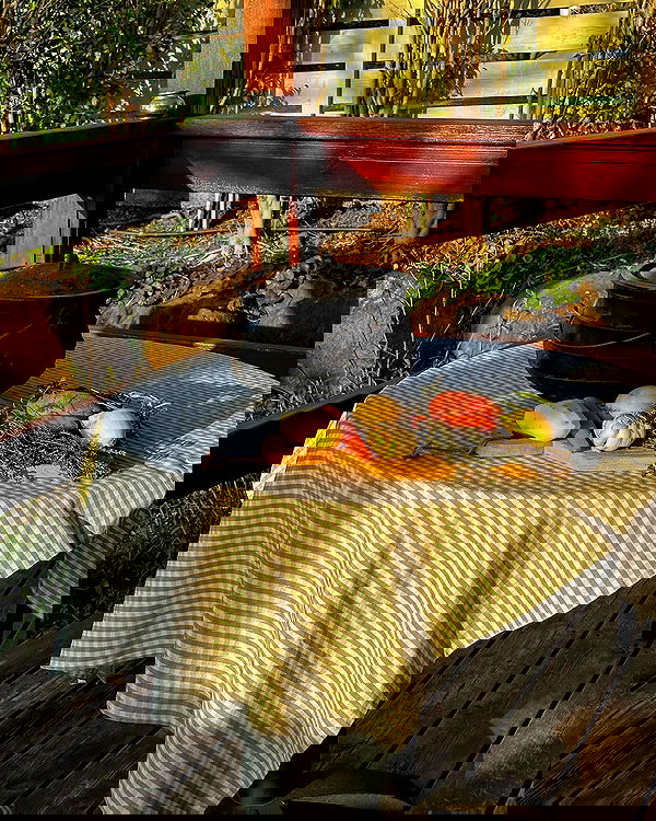 iambohema.v2 iambohema.v2 archive image