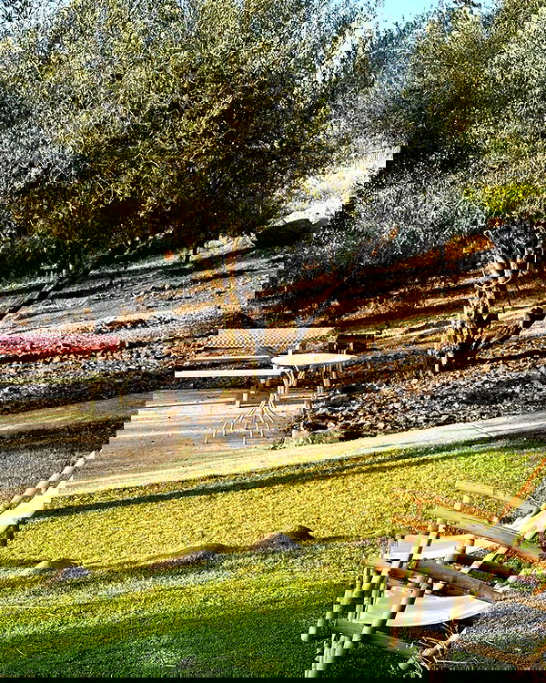 iambohema.v2 iambohema.v2 archive image