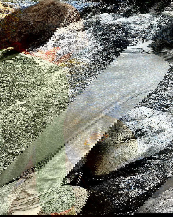 iambohema.v2 iambohema.v2 archive image