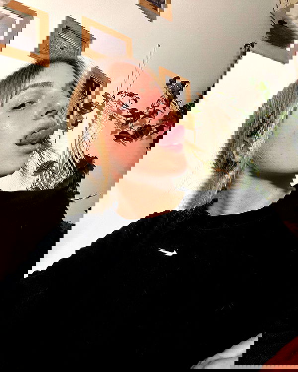 iambohema.v2 iambohema.v2 archive image