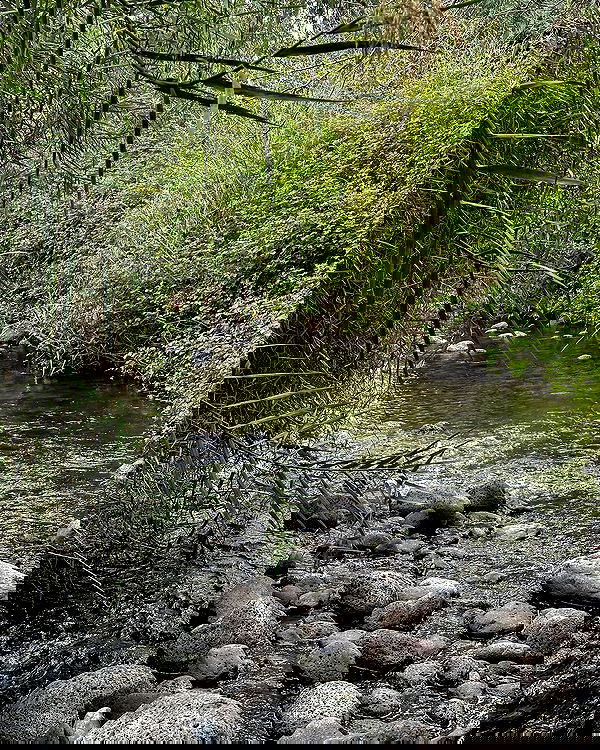 iambohema.v2 iambohema.v2 archive image