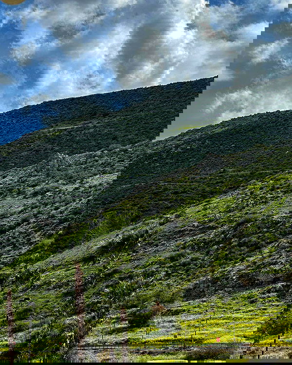 iambohema.v2 iambohema.v2 archive image