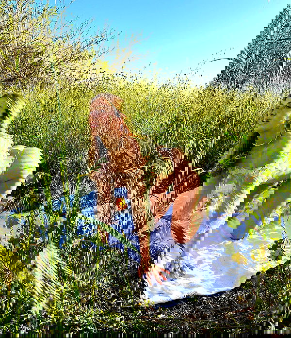 iambohema.v2 iambohema.v2 archive image