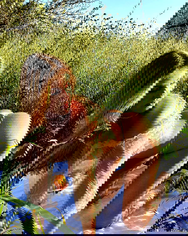 iambohema.v2 iambohema.v2 archive image