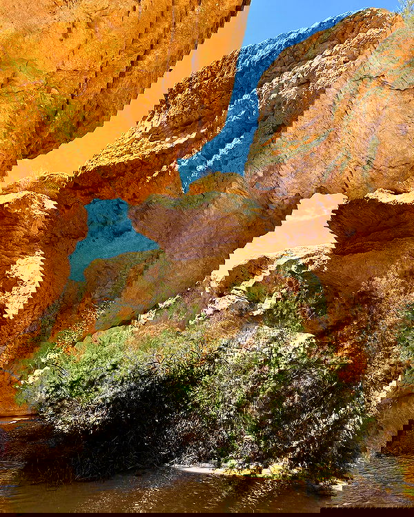 iambohema.v2 iambohema.v2 archive image