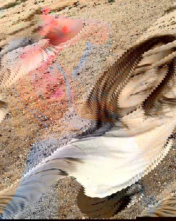 iambohema.v2 iambohema.v2 archive image