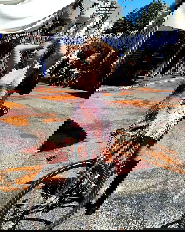 iambohema.v2 iambohema.v2 archive image