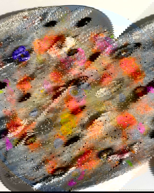 iambohema.v2 iambohema.v2 archive image