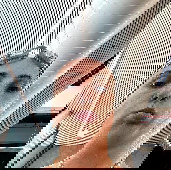 iambohema.v2 iambohema.v2 archive image