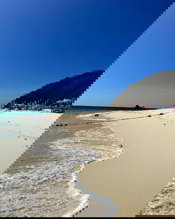 iambohema.v2 iambohema.v2 archive image