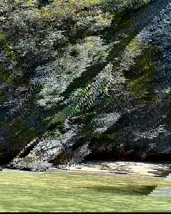 iambohema.v2 iambohema.v2 archive image