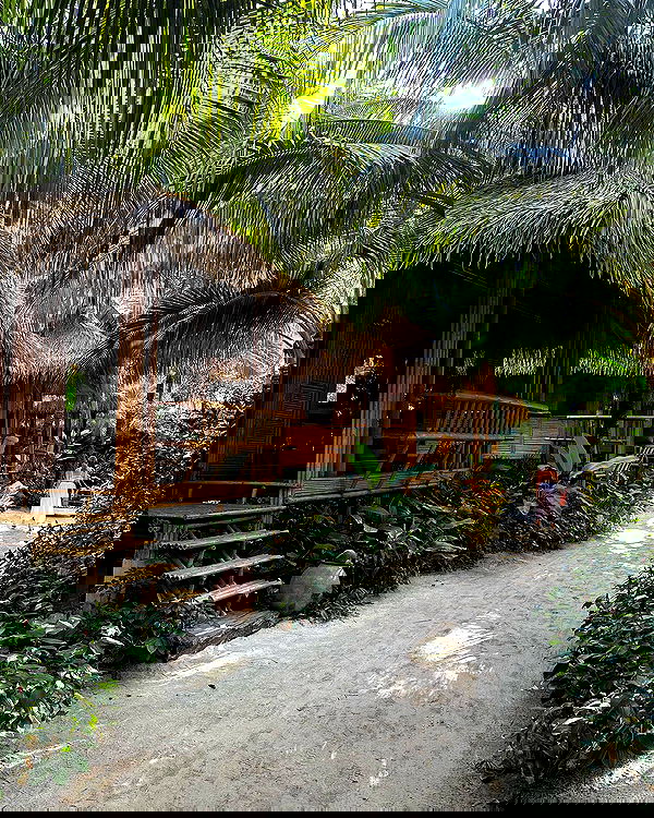 iambohema.v2 iambohema.v2 archive image