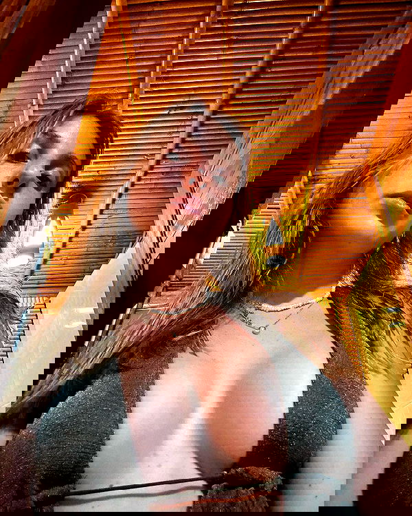 iambohema.v2 iambohema.v2 archive image