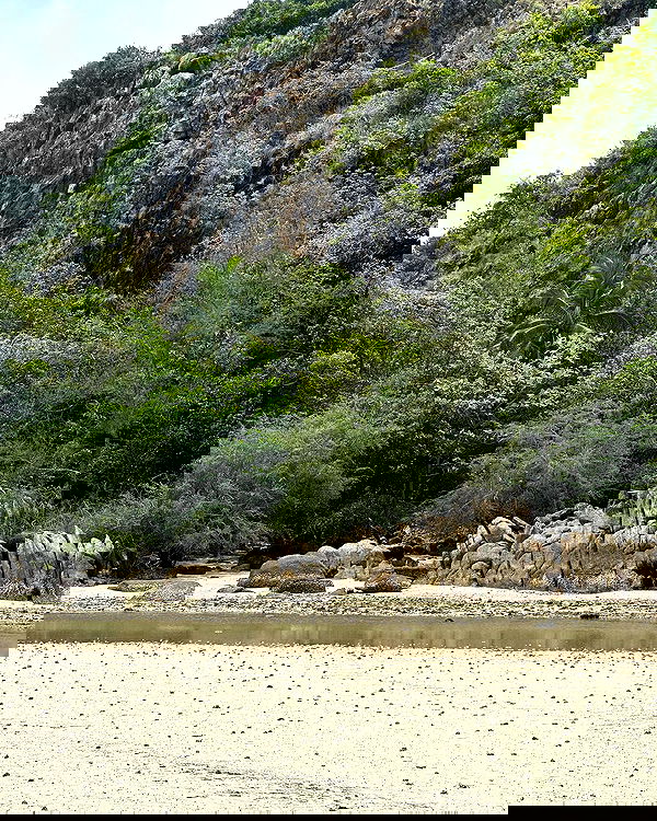 iambohema.v2 iambohema.v2 archive image