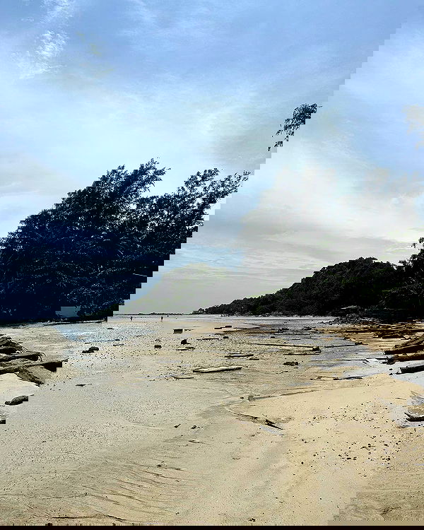 iambohema.v2 iambohema.v2 archive image