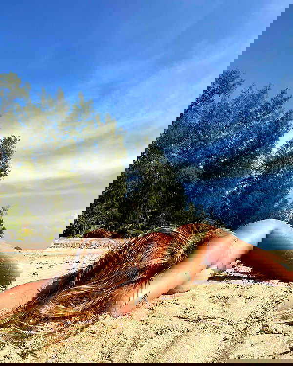 iambohema.v2 iambohema.v2 archive image