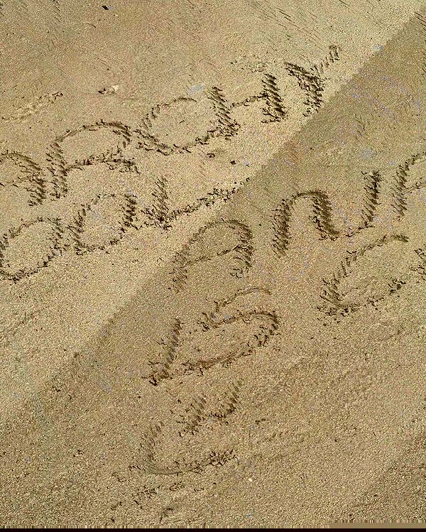 iambohema.v2 iambohema.v2 archive image