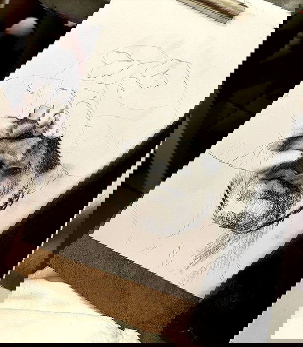 iambohema.v2 iambohema.v2 archive image