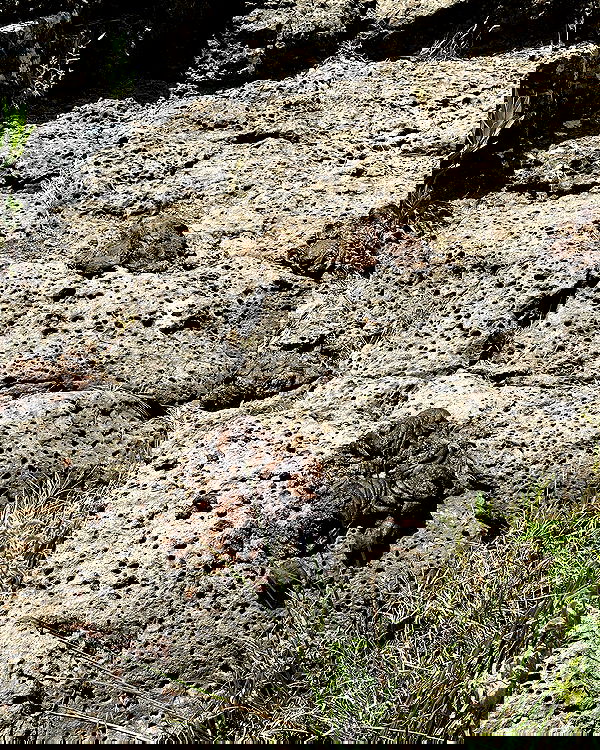 iambohema.v2 iambohema.v2 archive image